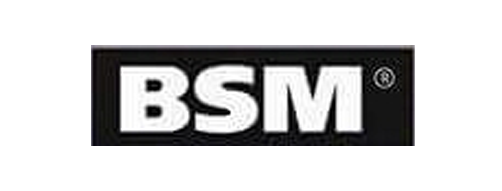 BSM.png
